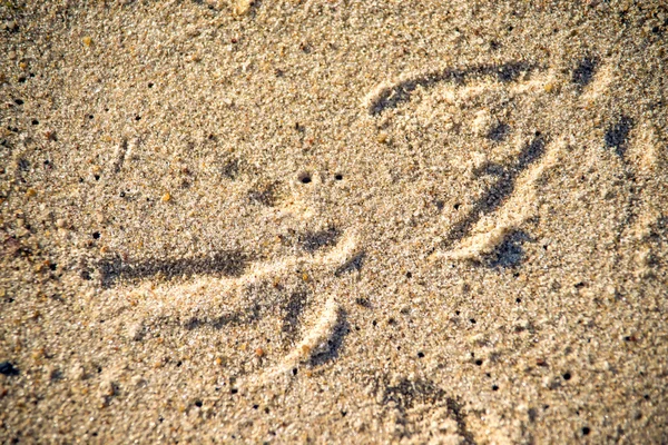 Spuren im Sand — Stockfoto