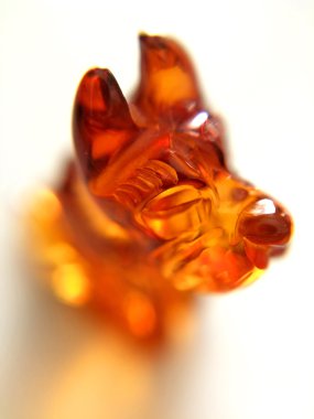 Amber köpek, portre