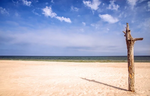 Praia solitária do Mar Báltico — Fotografia de Stock