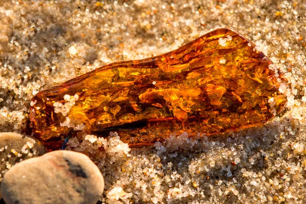 Ámbar en una playa del Mar Báltico — Foto de Stock