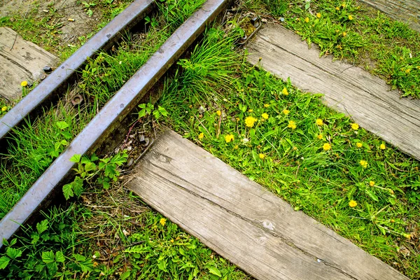 Rotaie fuori uso con i fiori — Foto Stock