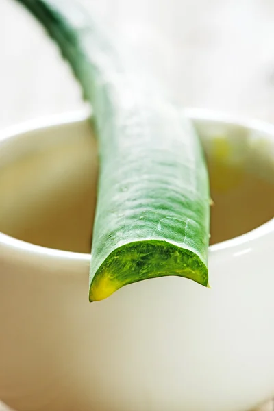 Hoja fresca de aloe vera con mortero — Foto de Stock