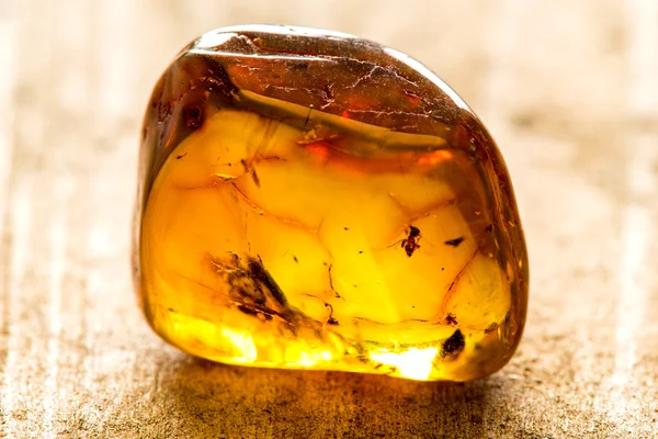 Amber with embedded insect — Stock Photo, Image