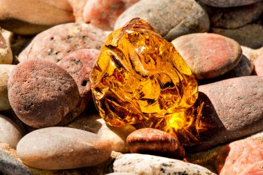 Amber Baltık Denizi'nin bir plajda