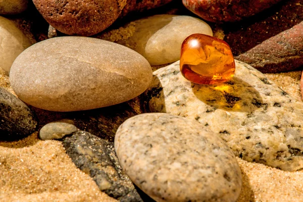 Amber on a beach of the Baltic Sea Stock Image