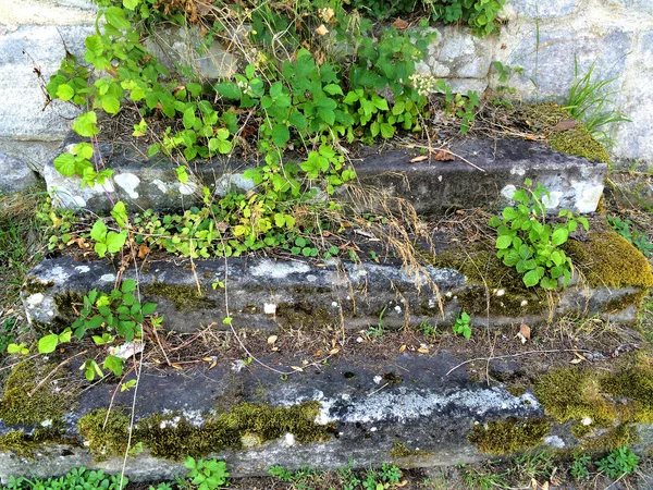 Gammel, middelaldersk trapp – stockfoto