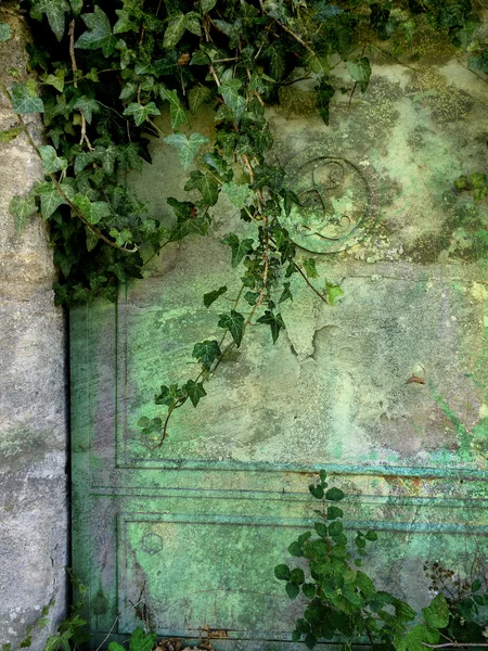 성당 벽에 오래 된 문 — 스톡 사진