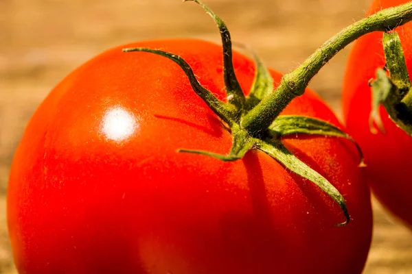 Tomato with green — Stock Photo, Image