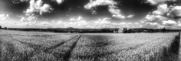 Vista panoramica sul verde con nuvole scure in stile vintqage — Foto Stock