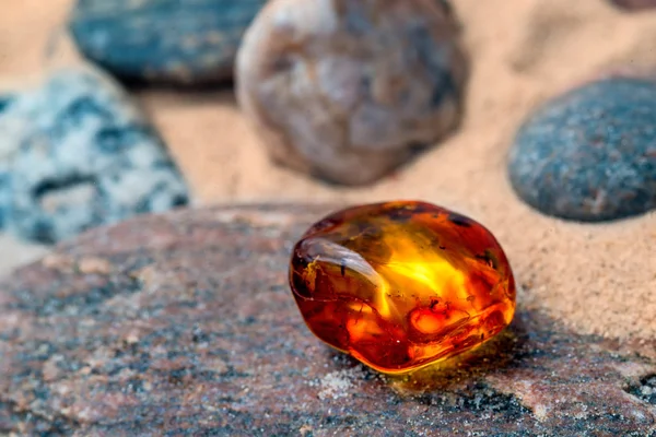 Amber on a beach of the Baltic Sea — Stock Photo, Image