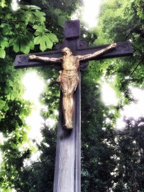 Bir retro görünüm ormanda çapraz