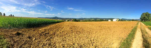 옥수수 밭과 산 독일의 호엔슈타우펜 파노라마 — 스톡 사진