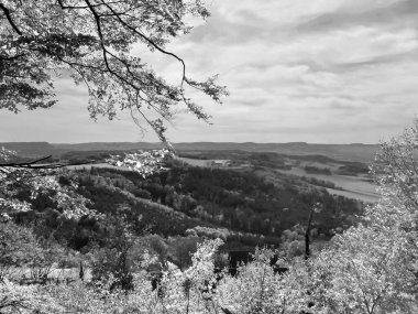 Tepenin sonbaharında Almanya 'daki Swabian Alb' ine panoramik manzara
