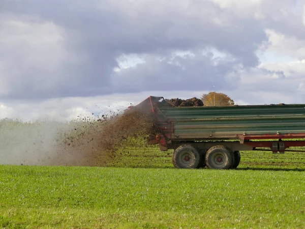 Tracteur Jetant Fumier Vache Sur Une Prairie Automne Allemagne — Photo