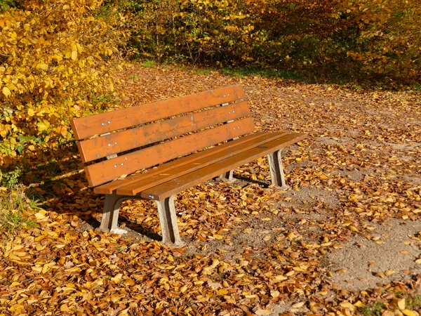 Parkbank Der Herbstsonne Mit Fallendem Laub — Stockfoto