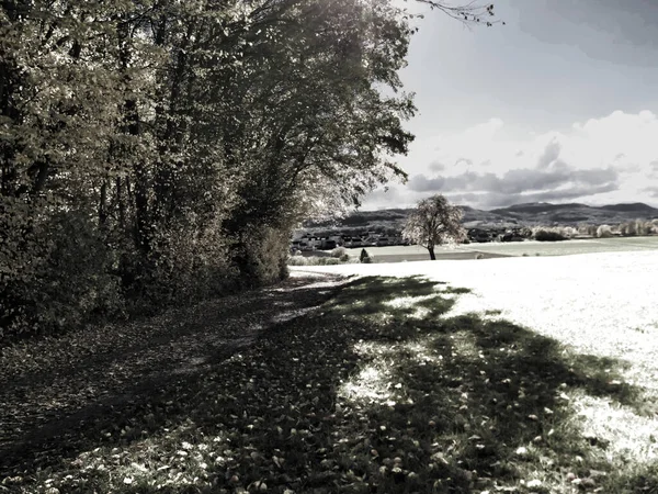 Infrarotaufnahme Einer Landschaft Herbst — Stockfoto