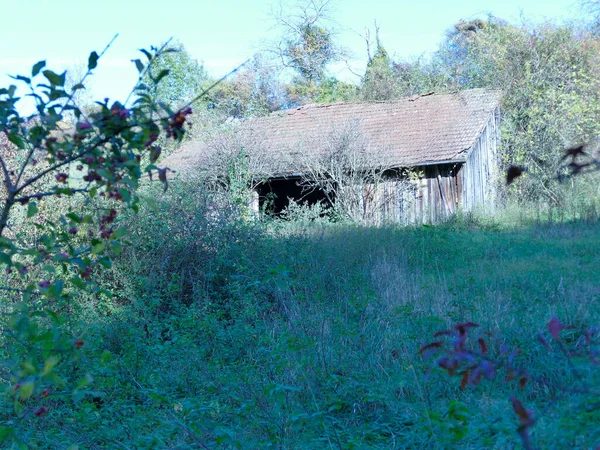 Ancienne Grange Cachée Dans Vert — Photo