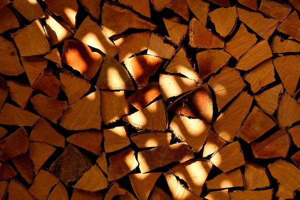 Fuel Wood Sun Rays — Stock Photo, Image
