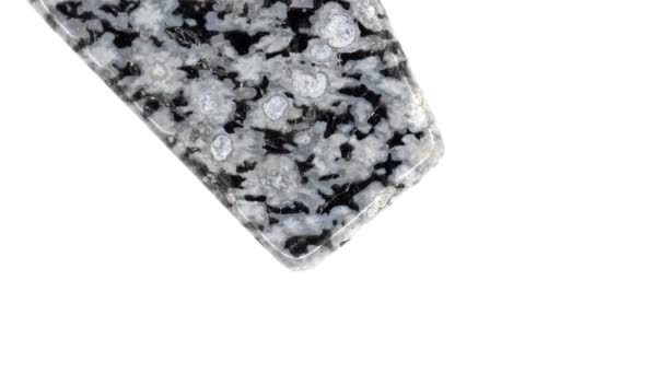 Sneeuwvlok Obsidiaan Draaitafel — Stockvideo