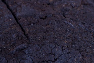 Alman kömürü yakın planda.