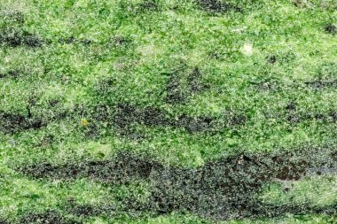 Amazonite, taşın makrosu.