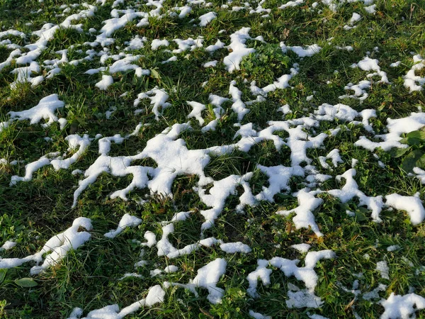Остатки Снега Зеленом Лугу Зимой Германии — стоковое фото