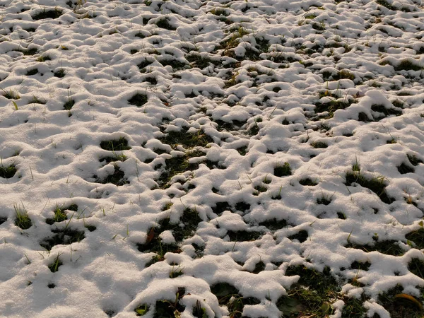 Residuos Nieve Acre Invierno Alemania —  Fotos de Stock