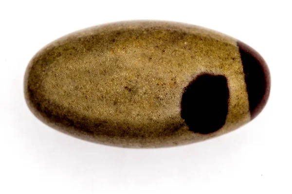 Shiva Lingam Fehér Alapon — Stock Fotó