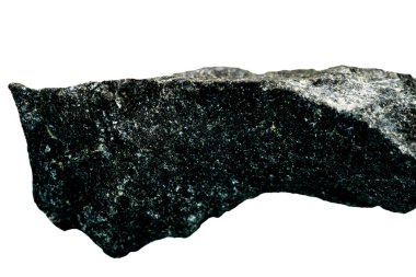 Beyaz arka planda yılan.