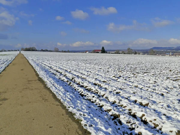 ドイツの雪原を抜ける長い道のり — ストック写真