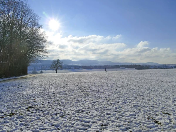 Vue Panoramique Sur Les Hauts Plateaux Souabes Hiver Allemagne — Photo