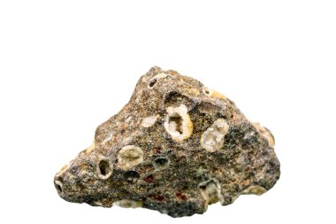 Beyaz arkaplanda Halit