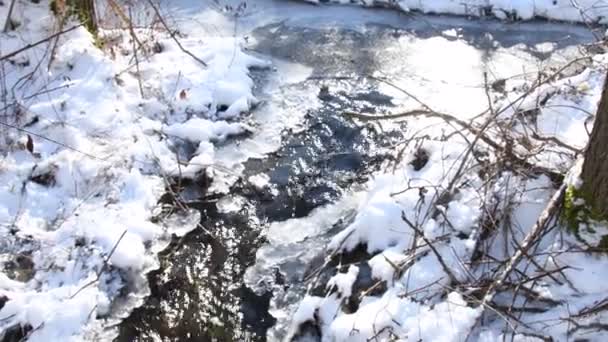 Mały Potok Zimie Niemczech — Wideo stockowe