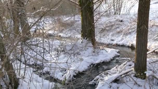 Mały Potok Zimie Niemczech — Wideo stockowe
