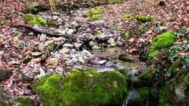 Doğa koruma alanında şelale Almanya 'da kötü Ueberkingen
