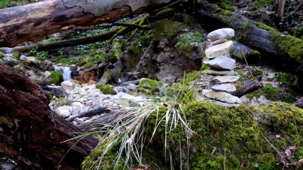 Zen Stone Pyramid Small Water Cascade Background — Stock Video