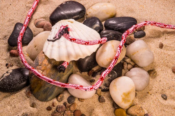 Cuerda Rosa Contaminación Plástica Una Playa Con Mejillones Piedras —  Fotos de Stock