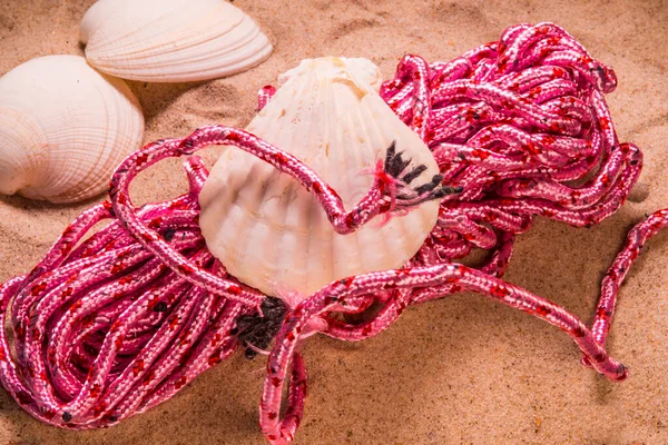 Cuerda Rosa Una Playa Con Mejillón —  Fotos de Stock