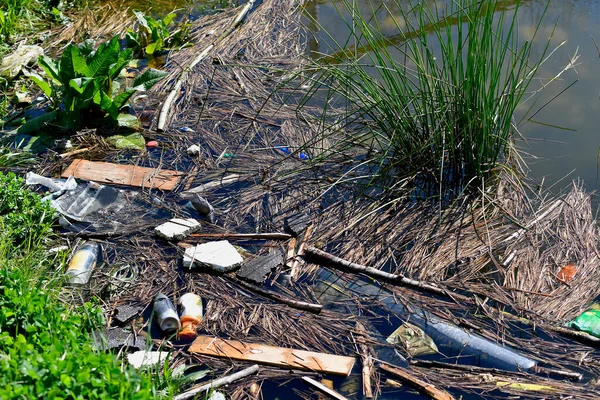 Poluição Ambiental Numa Lagoa Alemanha — Fotografia de Stock