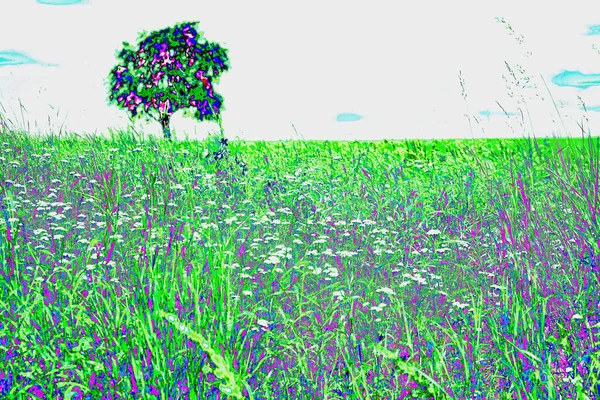 Grüne Wiese Mit Einem Einzigen Birnbaum — Stockfoto