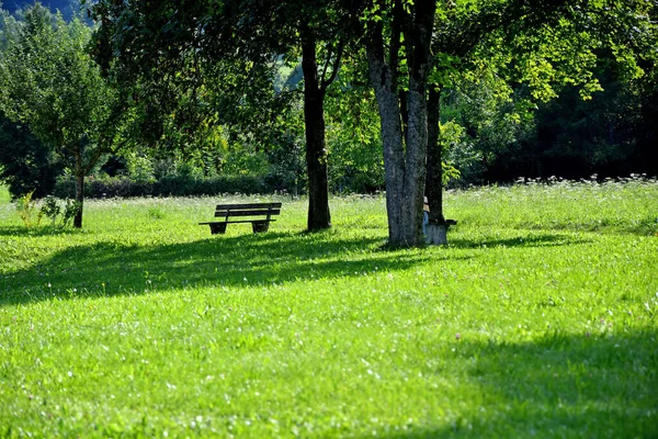 Panchina Del Parco Sole Autunnale — Foto Stock