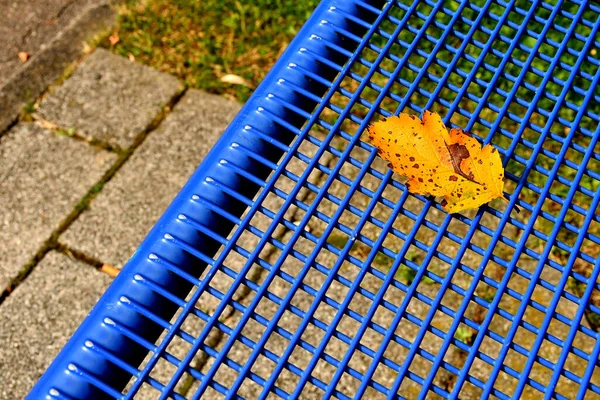 Folha Colorida Outonal Uma Grade Azul Assento — Fotografia de Stock