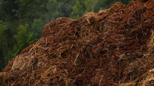 Fuming Esterco Colina Campo Alemanha — Vídeo de Stock