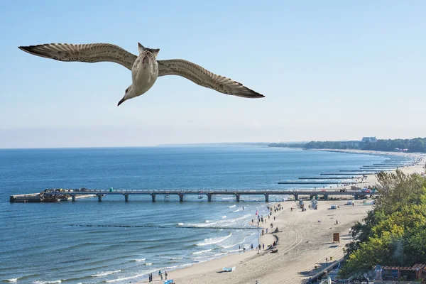 Playa de Kolobrzeg, Mar Báltico, Polonia — Foto de Stock