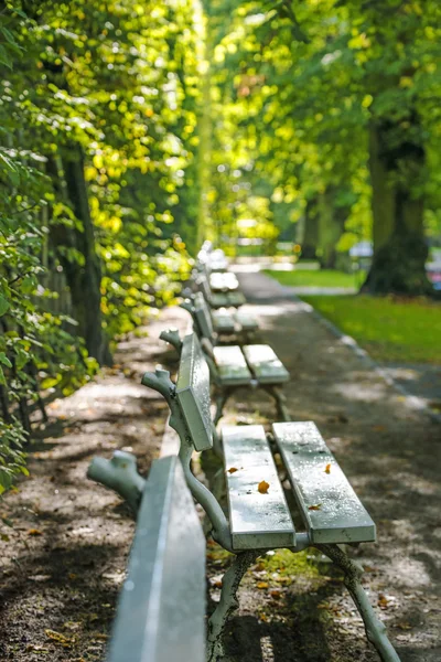 Fila di panchine del parco — Foto Stock