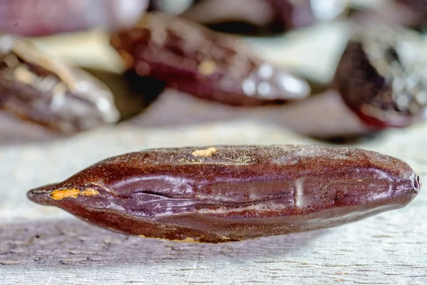 Tonka beans — Stock Photo, Image