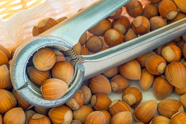 Hazelnuts — Stock Photo, Image