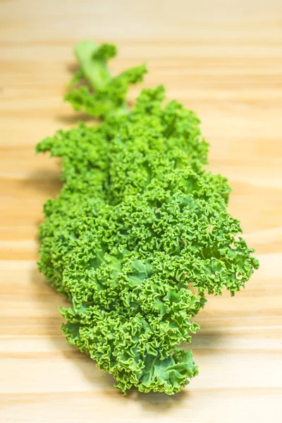 Zelený kale — Stock fotografie