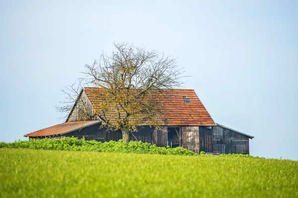 Oude schuur in het groen — Stockfoto