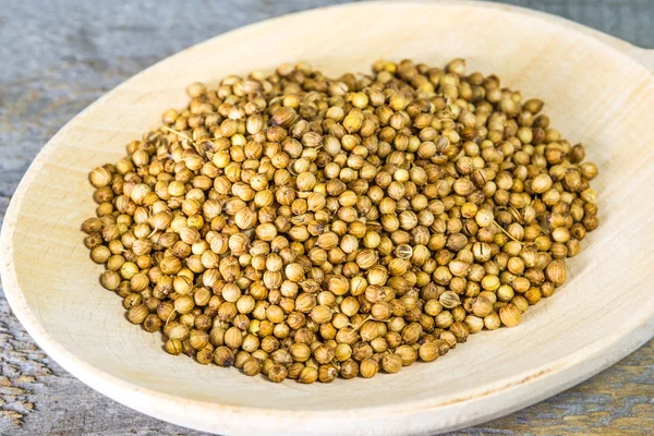 Coriander — Stock Photo, Image